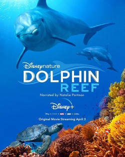 Watch Free Dolphin Reef Full Movies MyFamilyTV