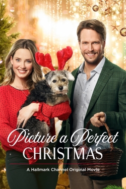 Watch Free Picture a Perfect Christmas Full Movies MyFamilyTV