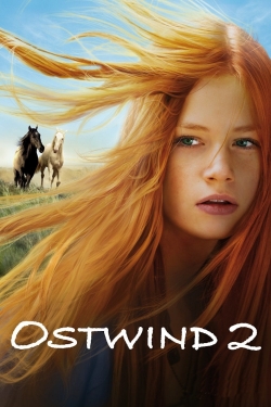 Watch Free Windstorm 2 Full Movies MyFamilyTV