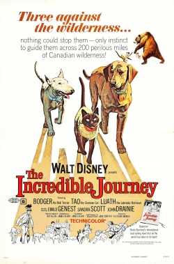 Watch Free The Incredible Journey Full Movies MyFamilyTV