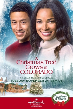 Watch Free A Christmas Tree Grows in Colorado Full Movies MyFamilyTV