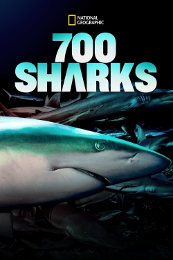 Watch Free 700 Sharks Full Movies MyFamilyTV