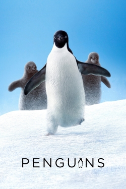 Watch Free Penguins Full Movies MyFamilyTV