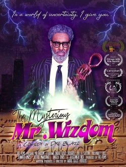 Watch Free The Mysterious Mr. Wizdom Full Movies MyFamilyTV