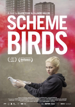 Watch Free Scheme Birds Full Movies MyFamilyTV