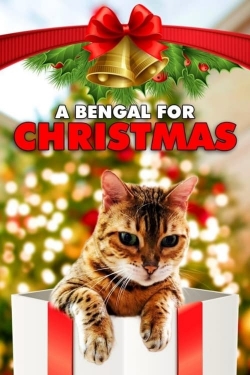 Watch Free A Bengal for Christmas Full Movies MyFamilyTV