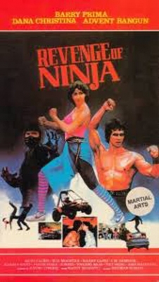 Watch Free Revenge of the Ninja Full Movies MyFamilyTV