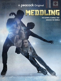 Watch Free Meddling Full Movies MyFamilyTV