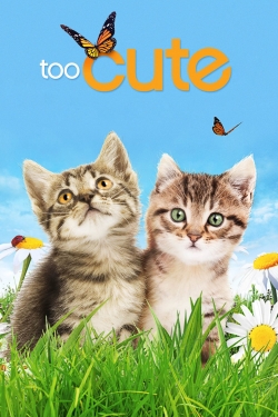 Watch Free Too Cute Full Movies MyFamilyTV