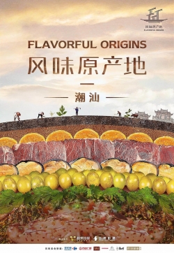 Watch Free Flavorful Origins Full Movies MyFamilyTV