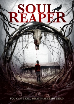 Watch Free Soul Reaper Full Movies MyFamilyTV