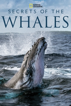 Watch Free Secrets of the Whales Full Movies MyFamilyTV