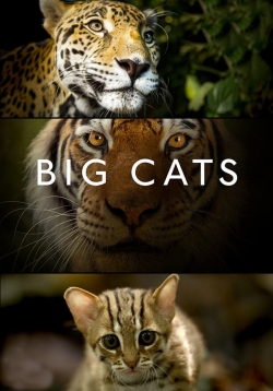 Watch Free Big Cats Full Movies MyFamilyTV