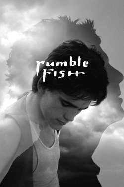 Watch Free Rumble Fish Full Movies MyFamilyTV