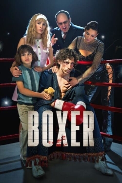 Watch Free Boxer Full Movies MyFamilyTV