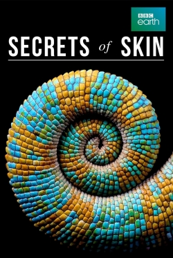 Watch Free Secrets of Skin Full Movies MyFamilyTV