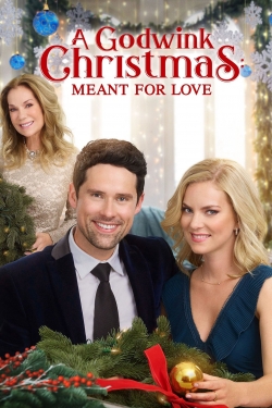 Watch Free A Godwink Christmas: Meant For Love Full Movies MyFamilyTV