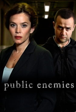 Watch Free Public Enemies Full Movies MyFamilyTV