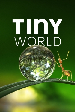 Watch Free Tiny World Full Movies MyFamilyTV